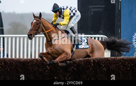 Ascot, Berkshire, Samstag, 21. Dezember 2024; Jungle Boogie und Jockey Darragh O’Keefe, Trainer Henry de Bromhead und Besitzer Malcom C Denmark. Credit JTW equine Images / Alamy Live News Stockfoto