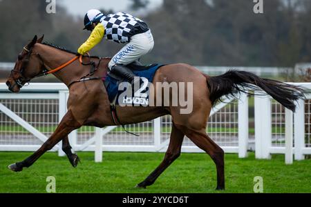 Ascot, Berkshire, Samstag, 21. Dezember 2024; Jungle Boogie und Jockey Darragh O’Keefe, Trainer Henry de Bromhead und Besitzer Malcom C Denmark. Credit JTW equine Images / Alamy Live News Stockfoto