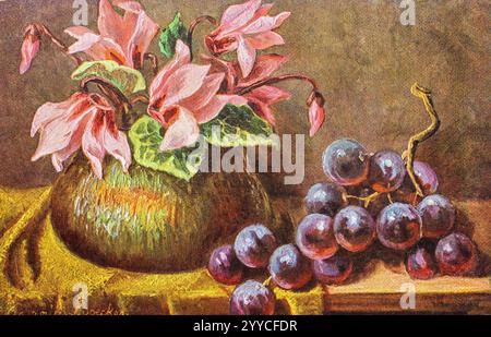 Vintage-Postkarte aus dem Jahr 1910-1920 mit Stillleben, einem Haufen schwarzer Trauben und Cyclamen-Blüten in einer Töpfervase. Stockfoto