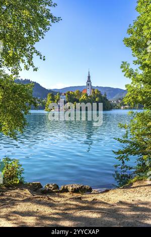 Die ruhige Szene der Seebled Insel mit ihrer berühmten Kirche, umgeben von üppigem Laub, an einem hellen Sommertag in slowenien Stockfoto