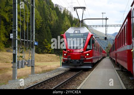 Roter schweizer Zug Rhaetische Bahn in den Bergen der Graubünden Schweiz während des indischen Sommers im Herbst Stockfoto