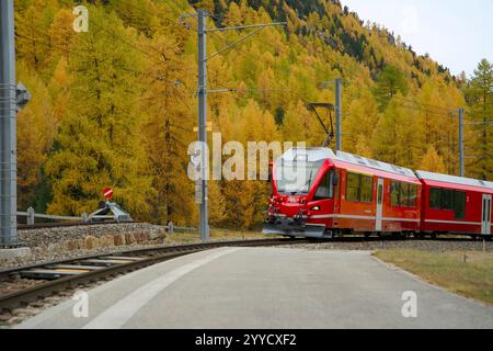 Roter schweizer Zug Rhaetische Bahn in den Bergen der Graubünden Schweiz während des indischen Sommers im Herbst Stockfoto