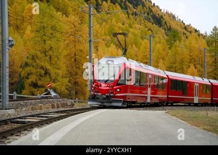 Roter schweizer Zug Rhaetische Bahn in den Bergen der Graubünden Schweiz während des indischen Sommers im Herbst Stockfoto