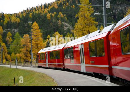 Roter schweizer Zug Rhaetische Bahn in den Bergen der Graubünden Schweiz während des indischen Sommers im Herbst Stockfoto