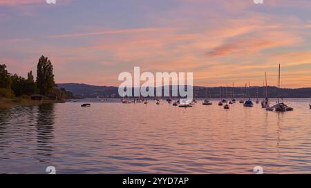 Sonnenuntergang mit Blick auf den Bodensee in Deutschland. Bodensee Sonnenuntergang Panorama. Abendsonne Über Dem Ruhigen Wasser. Sonnenuntergang am Bodensee in Stockfoto