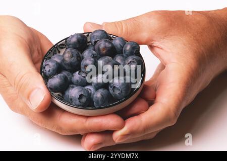 Weibliche Hände halten eine Schüssel mit Heidelbeeren. Gesunde Ernährung. Kopierbereich. Stockfoto