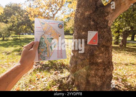 22. September 2024, Belgrad, Serbien: Mann mit einer Karte in der Hand, stehend an einem markierten Baum im Wald während der Orientierung Stockfoto