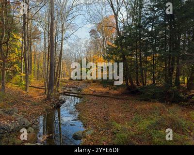 Willey Creek im Cleveland Metro Park System mit gefallenen Blättern im Herbst Stockfoto