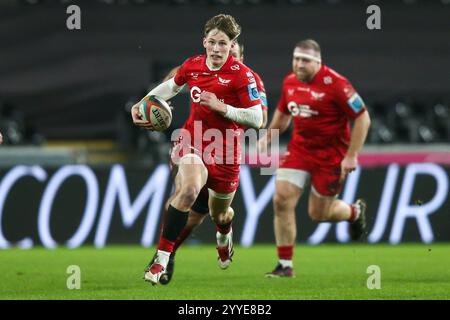 Swansea, Großbritannien. Dezember 2024. Ellis Mee von Scarlets beim Angriff während des Spiels Ospreys gegen Scarlets United Rugby Championship. Gruffydd Thomas/Alamy Stockfoto