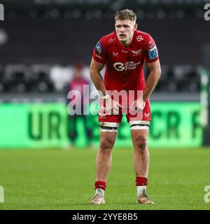 Swansea, Großbritannien. Dezember 2024. Taine Plumtree of Scarlets während des Spiels Ospreys gegen Scarlets United Rugby Championship. Gruffydd Thomas/Alamy Stockfoto
