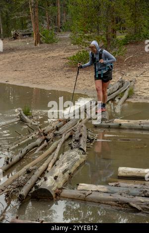 Frau überquert den Creek über den Fallen Log Jam im Yellowstone National Park Stockfoto