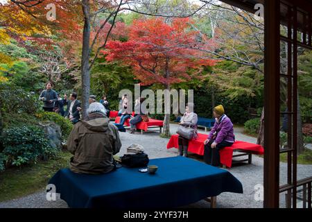 Besucher der Okochi Sanso Villa in Sagano Arashiyama, Kyoto, entspannen sich unter farbenfrohen Herbstahornlaub in einem Garten im Innenhof und trinken Tee, Japan. Stockfoto