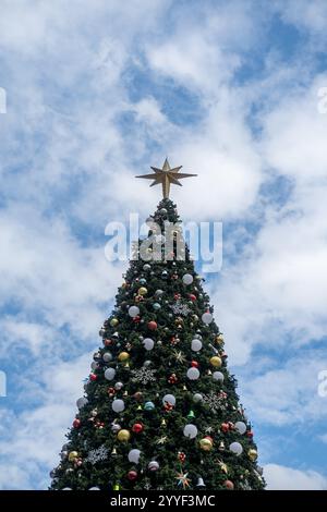 Weihnachtsbaum vor dem blauen Himmel mit Wolken Stockfoto