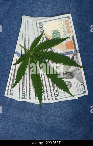 Hanfblatt im Jeanshintergrund. Industrielles Hanfblatt auf Jeansstoff. Hanfblatt und Dollars im Jeanshintergrund. Stockfoto