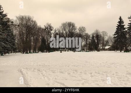 Park im Winter Vinnitsa. Zentraler Brunnen. Europäischer Platz, Vinnitsa, Ukraine, Platz. Hochwertige Fotos Stockfoto