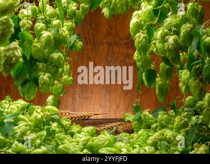 Frische grüne Hopfenblüten und üppige Blätter von Hopfenreben sind als Rahmen und Holzwand und Tisch im Hintergrund angeordnet. Eine Schlüsselkomponente des Aromas Stockfoto