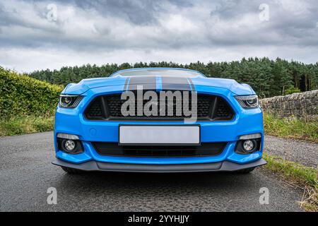 S550 Ford Mustang GT Trancing Horse Grille Großaufnahme Stockfoto