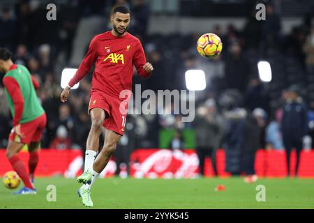 London, Großbritannien. Dezember 2024. Cody Gakpo aus Liverpool wärmt sich vor dem Spiel der Premier League im Tottenham Hotspur Stadium in London auf. Der Bildnachweis sollte lauten: Paul Terry/Sportimage Credit: Sportimage Ltd/Alamy Live News Stockfoto