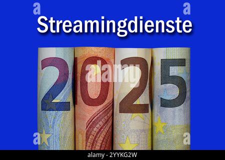 Jahreszahl 2025 aus Geldscheinen und Streamingdiensten Jahreszahl 2025 aus Geldscheinen und Streamingdiensten, 22.12.2024, Borkwalde, Brandenburg, der Schriftzug Streamingdienste befindet sich über verschiedene Geldscheinen, aus denen die Jahreszahl 2025 gebildet wurde. Stockfoto