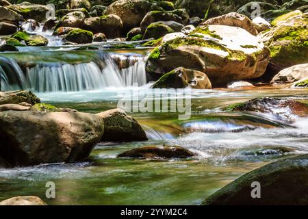 Ein Wasserstrom fließt über Felsen in einem Wald. Das Wasser ist klar und die Felsen sind groß. Die Szene ist friedlich und ruhig Stockfoto