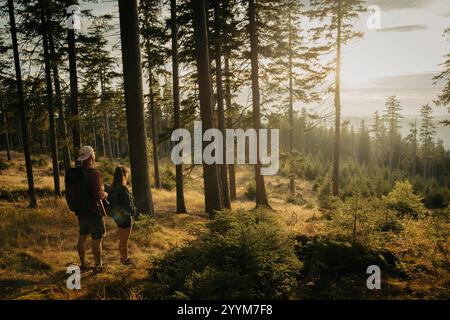 Ein Mann und eine Frau stehen zusammen in einem wunderschönen Wald, wo die Sonne warm durch die üppigen grünen Bäume über ihnen scheint Stockfoto