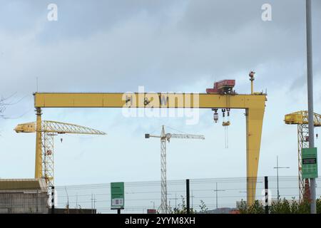 Bild der zwei Schiffbau-Portalkrane in der Harland und Wolff Werft auf Queen's Island, Belfast, Nordirland. Harland und Wolff Stockfoto