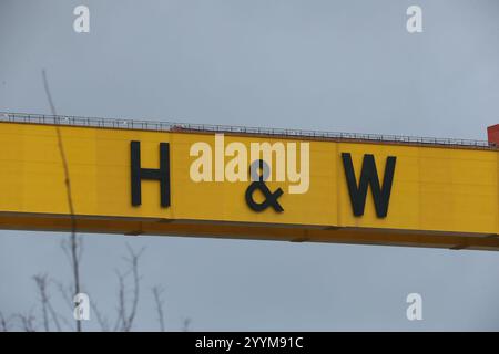 Bild der H&W-Buchstaben auf den ikonischen Zwillingsschiffbau-Portalkranen in der Harland und Wolff Werft auf Queen's Island, Belfast, Nord Stockfoto