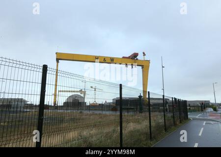 Bild der zwei Schiffbau-Portalkrane in der Harland und Wolff Werft auf Queen's Island, Belfast, Nordirland. Harland und Wolff Stockfoto
