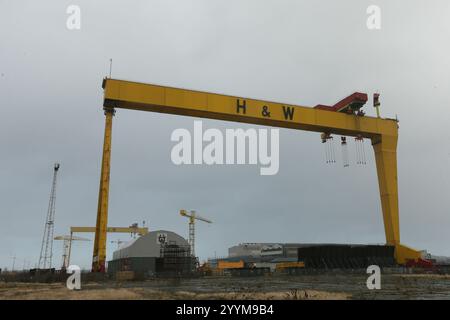 Bild der zwei Schiffbau-Portalkrane in der Harland und Wolff Werft auf Queen's Island, Belfast, Nordirland. Harland und Wolff Stockfoto