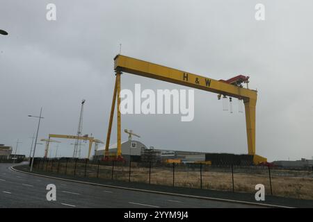 Bild der zwei Schiffbau-Portalkrane in der Harland und Wolff Werft auf Queen's Island, Belfast, Nordirland. Harland und Wolff Stockfoto
