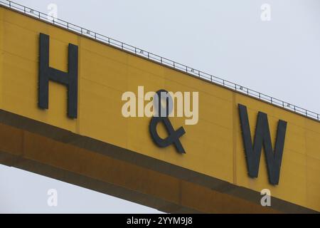 Bild der H&W-Buchstaben auf den ikonischen Zwillingsschiffbau-Portalkranen in der Harland und Wolff Werft auf Queen's Island, Belfast, Nord Stockfoto