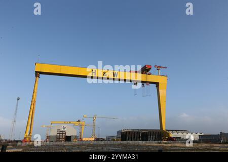 Bild der zwei Schiffbau-Portalkrane in der Harland und Wolff Werft auf Queen's Island, Belfast, Nordirland. Harland und Wolff Stockfoto