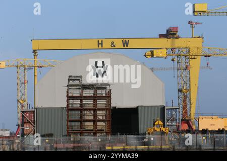 Bild der zwei Schiffbau-Portalkrane in der Harland und Wolff Werft auf Queen's Island, Belfast, Nordirland. Harland und Wolff Stockfoto