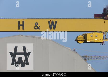 Bild der H&W-Buchstaben auf den ikonischen Zwillingsschiffbau-Portalkranen in der Harland und Wolff Werft auf Queen's Island, Belfast, Nord Stockfoto
