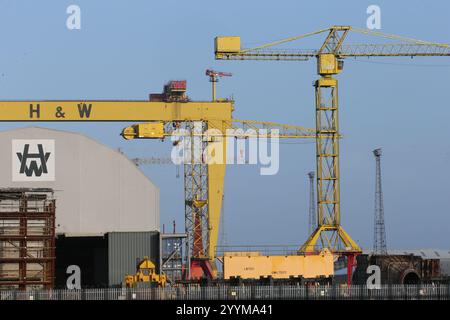 Bild der zwei Schiffbau-Portalkrane in der Harland und Wolff Werft auf Queen's Island, Belfast, Nordirland. Harland und Wolff Stockfoto