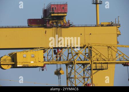 Bild der zwei Schiffbau-Portalkrane in der Harland und Wolff Werft auf Queen's Island, Belfast, Nordirland. Harland und Wolff Stockfoto