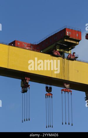 Bild der zwei Schiffbau-Portalkrane in der Harland und Wolff Werft auf Queen's Island, Belfast, Nordirland. Harland und Wolff Stockfoto