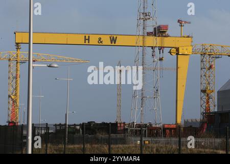 Bild der zwei Schiffbau-Portalkrane in der Harland und Wolff Werft auf Queen's Island, Belfast, Nordirland. Harland und Wolff Stockfoto