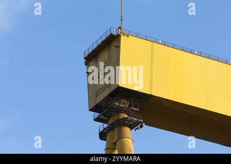 Bild der zwei Schiffbau-Portalkrane in der Harland und Wolff Werft auf Queen's Island, Belfast, Nordirland. Harland und Wolff Stockfoto