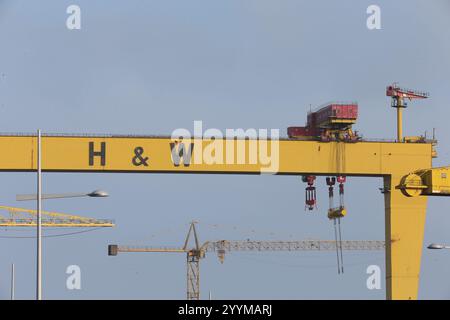 Bild der zwei Schiffbau-Portalkrane in der Harland und Wolff Werft auf Queen's Island, Belfast, Nordirland. Harland und Wolff Stockfoto