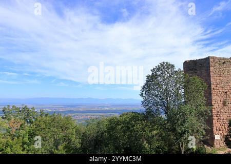 Ein Blick aus der Vogelperspektive auf das Elsass-Fruchttal bei Colmar in Frankreich Stockfoto
