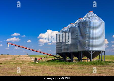 Ein großes Silo mit einem Förderband davor. Das Silo ist von einem Grasfeld umgeben Stockfoto