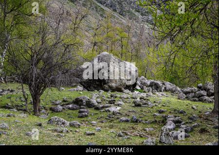 Wunderschöne Felswände. Relief und Textur von Stein mit Mustern und Moos. Naturstein Hintergrund. Stockfoto