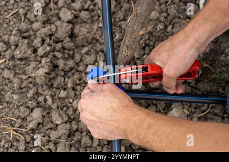 Man schneidet ein Kunststoffrohr mit Rohrschneidern. Installation einer automatischen Tropfbewässerungsanlage für den Garten. Stockfoto