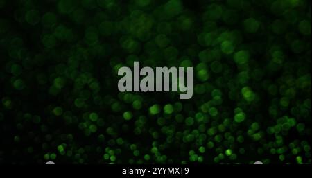 Defokussiertes Dimmen. Grünes Flackern. Kleine Lichtpartikel verdunkeln den Farbton. Mystery Night Atmosphere variable Glitzerbrechung. Stockfoto