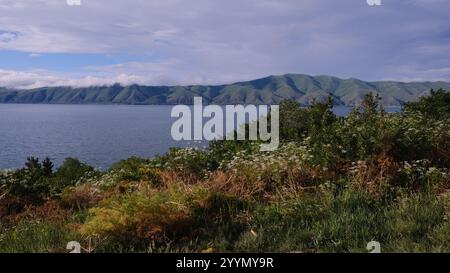 Atemberaubender Panoramablick auf die Küste mit üppigen grünen Hügeln und ruhigem Wasser Stockfoto