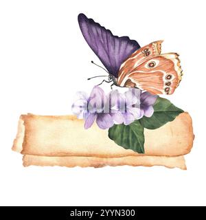 Eine alte gelbgelbe Papierrolle mit Veilchen und einem exotischen Schmetterling, der darauf sitzt. Vintage-Pergament mit Stiefmütterchen. Handgezeichnetes Aquarell Vintage illustr Stockfoto