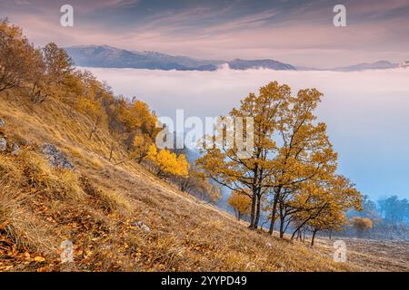 Atemberaubende Herbstlandschaft mit bunten Bäumen auf einem Hügel mit Blick auf ein nebeliges Tal und ferne Berge Stockfoto