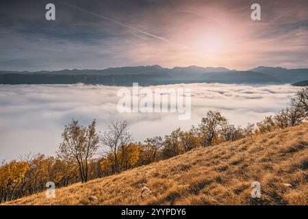 Atemberaubender Blick auf die Berge mit niedrigen Wolken, die das Tal bedecken, und farbenfrohen Herbstbäumen auf einem grasbewachsenen Hang während des Sonnenaufgangs Stockfoto