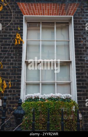 Georgianisches Fenster mit Laub in London während der Weihnachtszeit Stockfoto
